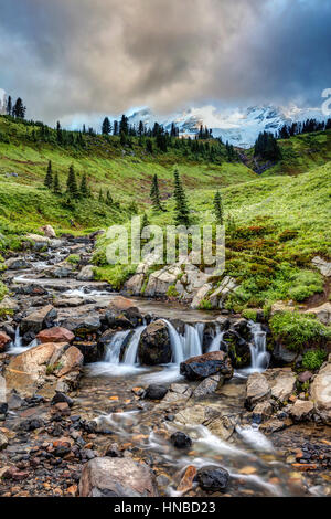 Le mont Rainier est Edith Creek, juste au-dessus de chutes de myrte sur Mount Rainier National Park, Washington State. Banque D'Images