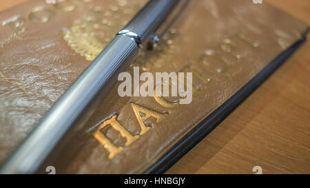 Beau stylo à bille en métal brillant et d'un passeport Banque D'Images