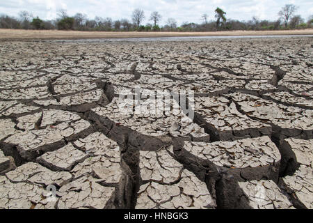 Scenic, faible angle de vue d'un point d'eau asséché montrant les fissures profondes formées dans le sol argileux comme il sèche Banque D'Images