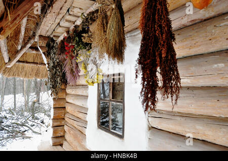 Bouquets d'herbes séchées suspendu au porche d'une vieille maison en bois ukrainien close up Banque D'Images