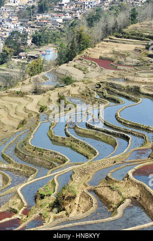 Les rizières en terrasse de yuanyang, Yunnan en Chine Banque D'Images