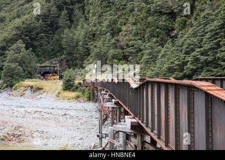 Rail de Kiwi, Arthur's Pass, île du Sud, Nouvelle-Zélande. Banque D'Images