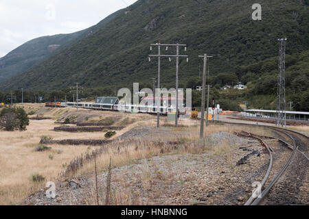 Rail de Kiwi, Arthur's Pass, île du Sud, Nouvelle-Zélande. Banque D'Images