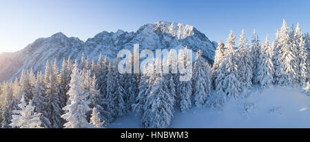 Paysage d'hiver dans les Alpes autrichiennes près de Salzbourg, Bavière, Autriche Banque D'Images