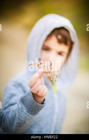 Boy holding un crabe Banque D'Images