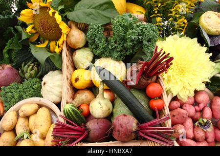 Fruits, fleurs et légumes affichage à un spectacle traditionnel anglais de l'horticulture, Sheffield, South Yorkshire, Angleterre, Royaume-Uni Banque D'Images