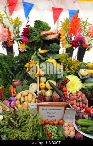 Fruits cultivés allotissement, fleurs et légumes présentés lors d'un spectacle traditionnel de l'horticulture à Sheffield, South Yorkshire, UK Banque D'Images