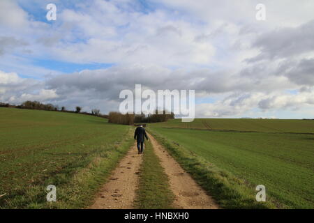 Homme marchant à travers un paysage rural, Niort, Aquitaine, France Banque D'Images