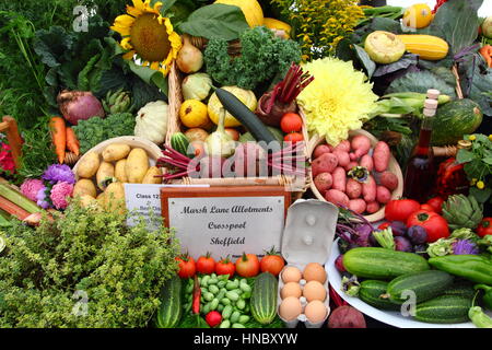 Fruits cultivés allotissement, fleurs et légumes présentés lors d'un spectacle traditionnel de l'horticulture à Sheffield, South Yorkshire, UK Banque D'Images