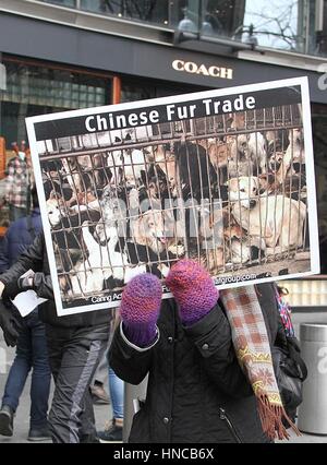 New York, NY, USA. Feb 11, 2017. La position des manifestants anti-fourrure à Bergdorf Goodman au cours de New York Fashion Week (NYFW) à New York, New York le 11 février 2017. Banque D'Images