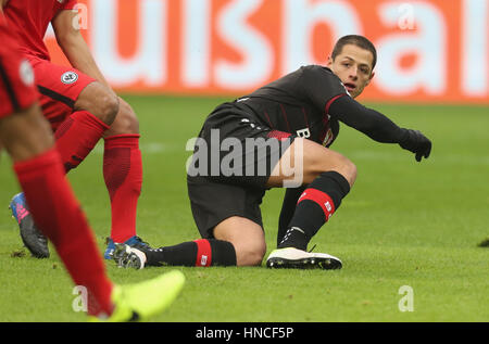 Leverkusen, Allemagne. Feb 11, 2017. Bundesliga ème Journée 20, Bayer 04 Leverkusen - Eintracht Frankfurt : Chicharito (B04) sur le terrain. Credit : Juergen Schwarz/Alamy Live News Banque D'Images