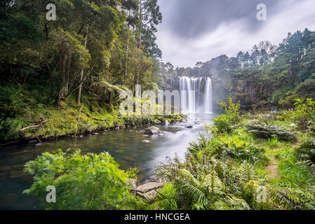 Cascade, Rainbow Falls ou Waianiwaniwa, Kerikeri River, Northland, North Island, New Zealand Banque D'Images