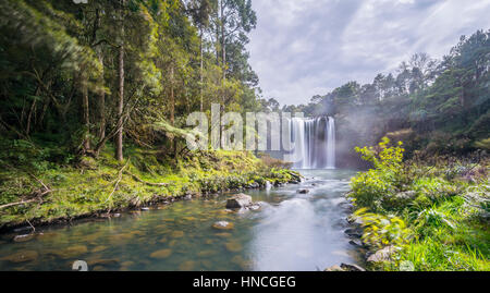 Cascade, Rainbow Falls ou Waianiwaniwa, Kerikeri River, Northland, North Island, New Zealand Banque D'Images