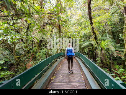 Femme marchant le long chemin à travers la forêt tropicale, la végétation dense Waipoua Forest, Northland, North Island, New Zealand Banque D'Images