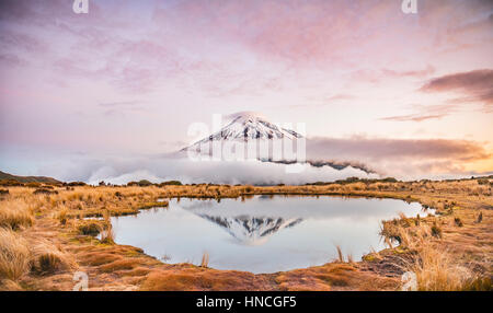 Reflet dans Pouakai Tarn, volcan Mont Taranaki ou Mont Egmont au coucher du soleil, Parc National d'Egmont, Taranaki, île du Nord Banque D'Images