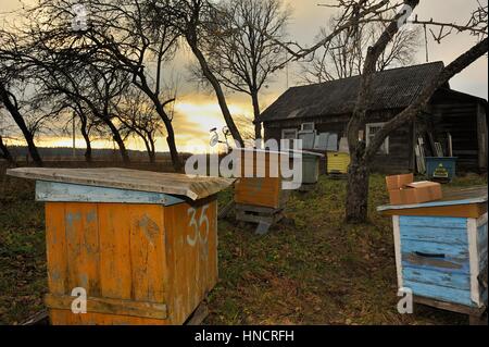 Foto Guru Juozas Vitas Tamusauskas in,Sudargas, Colizeum.Litauen. Banque D'Images