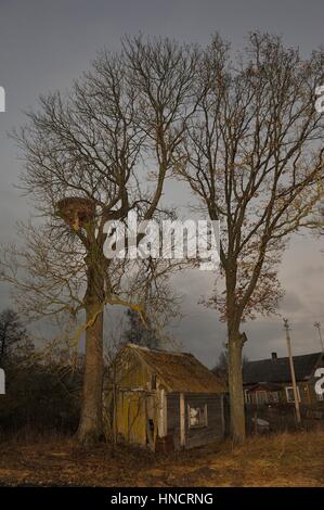 Foto Guru Juozas Vitas Tamusauskas in,Sudargas, Colizeum.Litauen. Banque D'Images