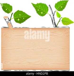 Rectangulaire en bois de bouleau pancarte avec des feuilles vertes et de l'eau gouttes vector illustration Illustration de Vecteur