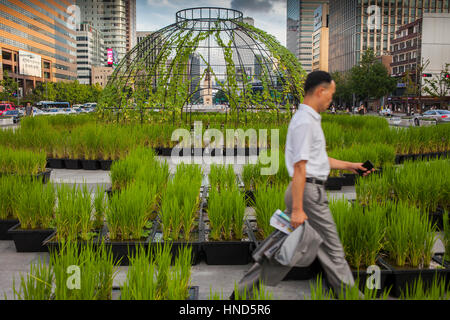 Dans le jardin de la place Gwanghwamun, Séoul, Corée du Sud Banque D'Images