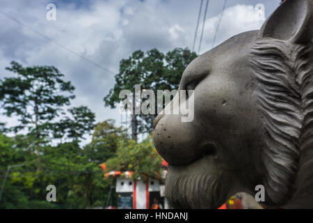 Tête de Lion statue en pierre à partir de photos prises à Bogor en Indonésie Banque D'Images