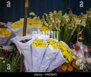 Belle chrysanthème jaune et d'autres fleurs sur un pot photo prise à Bogor en Indonésie Banque D'Images