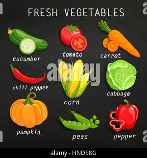 Ensemble de légumes frais. Tableau arrière-plan. Illustration de ferme biologique. Mode de vie sain des éléments de conception d'illustration vectorielle. Illustration de Vecteur