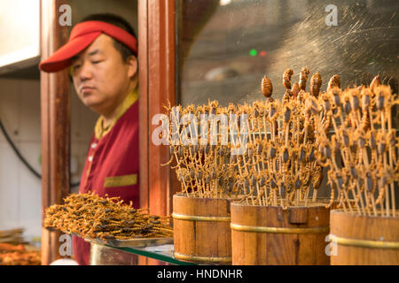 Fleischspiess Skorpion, Pékin, Beijing, Chine, Volksrepublik, Asien | brochette de Scorpion, Beijing, République populaire de Chine, l'Asie Banque D'Images