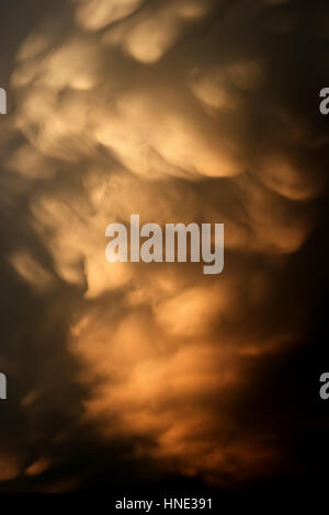 Mamattus nuages Banque D'Images
