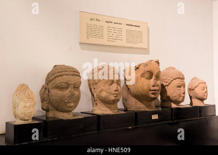 Les têtes de Bouddha, l'affichage dans le Musée National, Colombo, Sri Lanka Banque D'Images