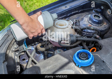 Main femme voiture remplissage du circuit de refroidissement en bouteille blanche Banque D'Images