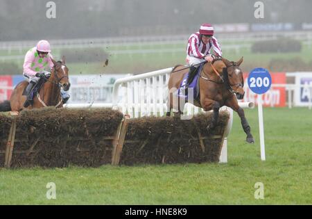 Mega Fortune montée par Davy Russell les médailles de l'obstacle pour mineurs pendant le printemps Stan James Irish Gold Cup journée à l'hippodrome de Leopardstown, Dublin. Banque D'Images