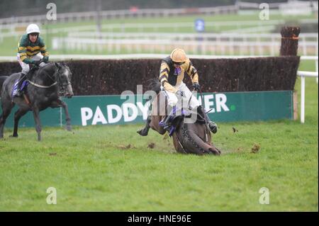 Bellshill monté par Ruby Walsh à l'automne dernier au cours de la novice Flogas pendant le steeplechase Stan James Irish Gold Cup journée à l'hippodrome de Leopardstown, Dublin. Banque D'Images