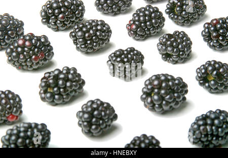 Studio shot of blackberries sur fond blanc Banque D'Images