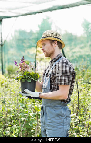 Chauffeur particulier à pot de fleur d'émissions Banque D'Images