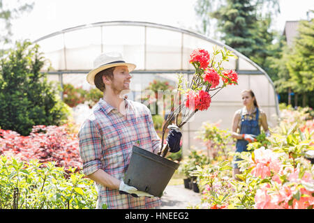 Pot de fleurs mâles examen jardinier avec collègue debout en arrière-plan en dehors des émissions Banque D'Images