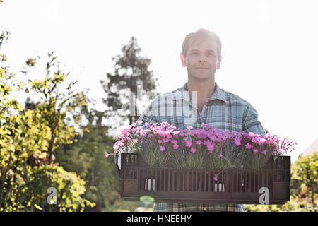 Portrait of man carrying crate avec pots de fleurs au jardin Banque D'Images