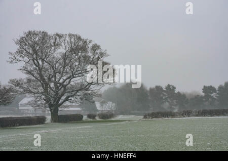 Donnant sur un terrain couvert de neige dans la région de South Staffordshire. Banque D'Images