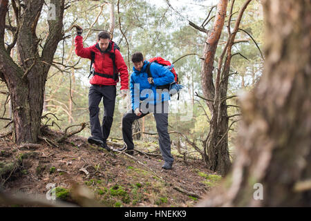 Randonnées en forêt mâle backpackers Banque D'Images