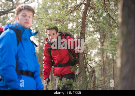 Homme backpackers en forêt Banque D'Images