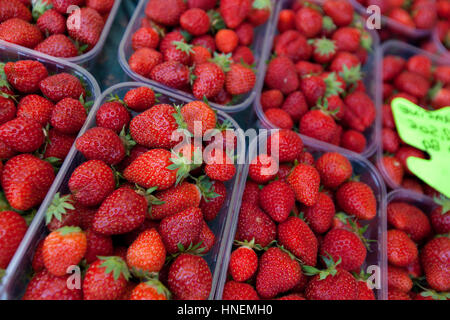 Close-up de fraises fraîches sur l'affichage en magasin Banque D'Images