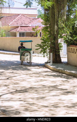 Brésil, État de Rio de Janeiro, l'île de Paqueta, Surrey vélo-taxi stationné sur l'ombre sur une journée ensoleillée. Paquetá est un auto-free zone. Banque D'Images