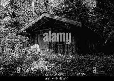 Une cabane dans les bois Banque D'Images