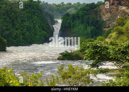 En Ouganda Murchison Falls Banque D'Images