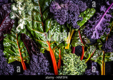 Variétés de légumes fraîchement récoltés Kale Banque D'Images