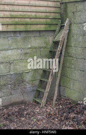 Ancien escabeau oublié dans un coin d'une cour. Métaphore de l'échelle de carrière, ou de monter dans l'échelle de la propriété du logement / échelle. Banque D'Images