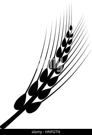 Les épis de blé in front of white background. Vector Illustration de Vecteur