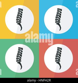 L'icône de la colonne vertébrale ( plate ) sur un fond de couleur différente ( vue latérale ) Utiliser pour la maladie de la colonne vertébrale ( la spondylolyse spondylolisthésis , , , spondy scoliose Illustration de Vecteur