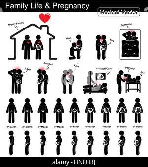 La vie de famille pendant la grossesse et le développement Fœtal ( femme enceinte et la croissance du fœtus dans l'utérus )( )( étape par étape de la science et des soins médicaux , con Illustration de Vecteur