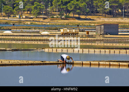 L'usine de production de sel en Nin, Croatie, Dalmatie Banque D'Images