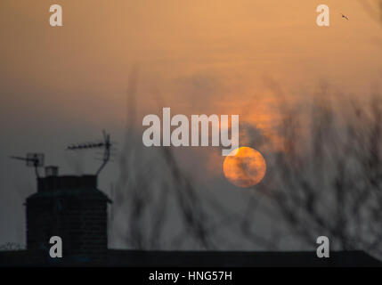 Wimbledon, Londres, Royaume-Uni. 13 février 2017. Après un week-end gris et froid, le soleil émerge enfin des nuages à l'heure de pointe le lundi matin sur les toits du sud-ouest de Londres. Crédit: Malcolm Park éditorial/Alamy Live News Banque D'Images